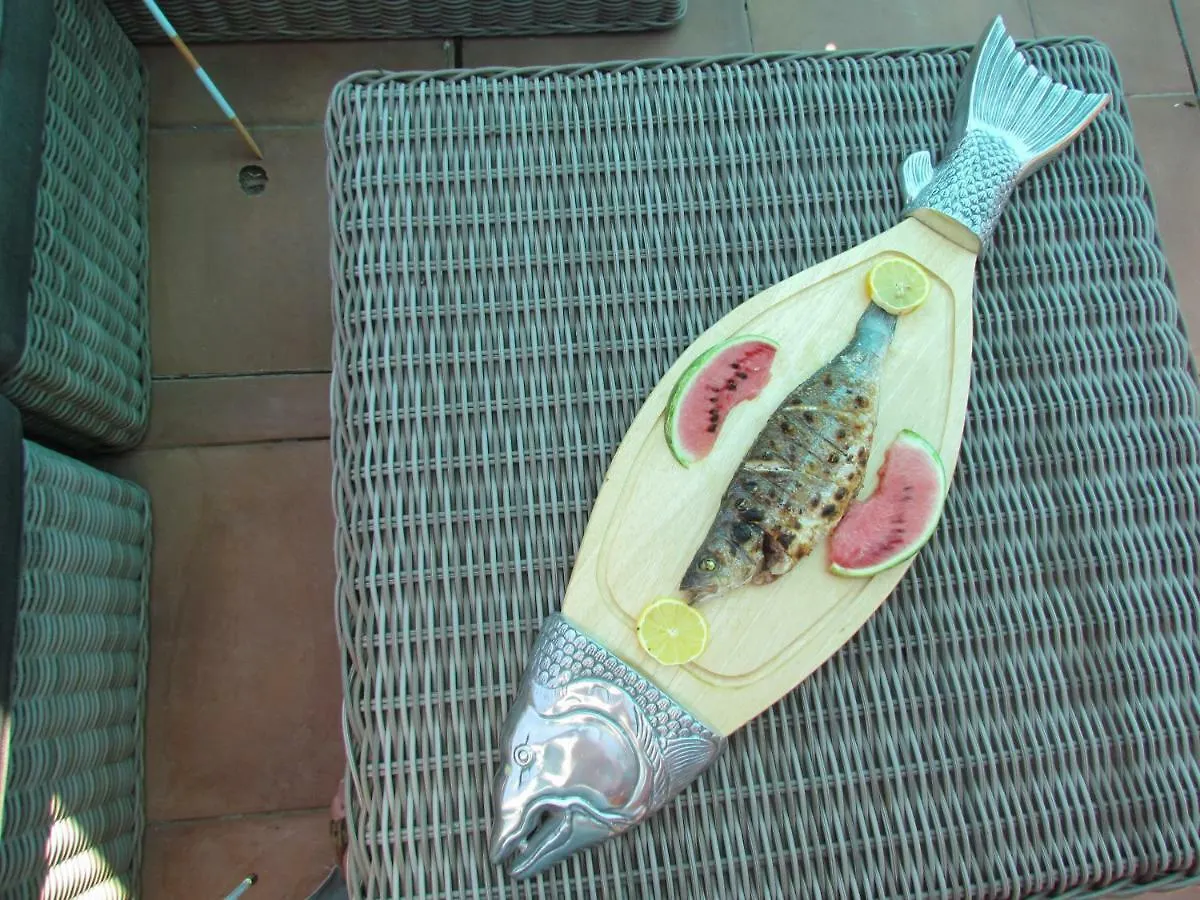 Apartment Nova Alofa Holiday Home Monchique Portugal